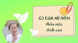 Lợi ích Cỏ lúa mì non