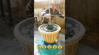 #action #facts #trending #viralvideo #reel #funny #food #memes #cooking #kitchen#208の制作プロセスのクローズアップ