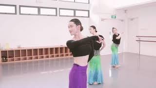 成品 Chinese Dance Repertoire for Adult