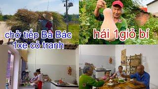 [687]Hái Được 1Giỏ Bí_Bà Bác Ở Nhà 1Mình Rủ Bà Qua Ăn Cơm Cho Vui.