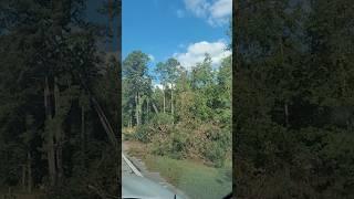 A few damaged buildings. Lots of downed trees in Camak #roadtrip #GA #Georgia #fall #hurricanehelene