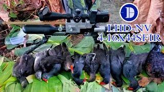 JACKPOT SA UWIS ‼️ | WATER COCK HUNTING | X4 RAF HUNTER EP90 | #hunting #viral