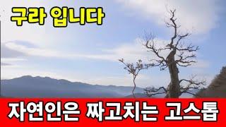 [다시보기] 자연인 방송은 구라 어이없는 지리산 자연인의 집