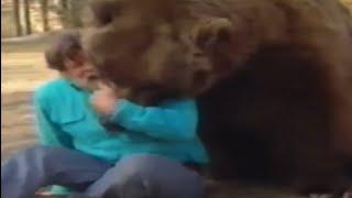 Never Own A Kodiak Bear As A Pet ️