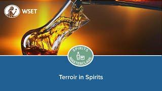 Terroir in Spirits