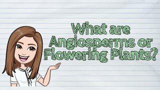 (SCIENCE) What are Angiosperms or Flowering Plants? | #iQuestionPH