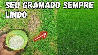 ADUBAÇAO PARA GRAMA ESMERALDA! Dicas de gramados e cuidados!