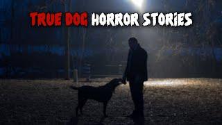 3 Terrifying TRUE Dog Horror Stories | Mr Night Scares