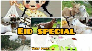 Eid funny poetry |BAKRA EID special //funny video