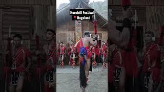 Head Hunters | Hornbill Festival #india #nagaland