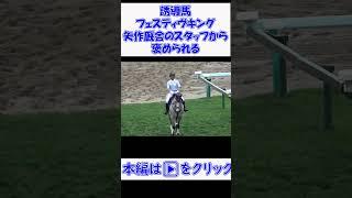 #誘導馬 #フェスティヴキング 寄られるのは苦手だけど・・・でも、キッチリ仕事はします 現地映像