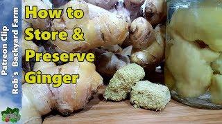 7 Ways to Store GINGER (or Turmeric)