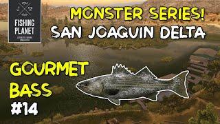 FISHING PLANET - MONSTER GOURMET BASS | SAN JOAQUIN DELTA