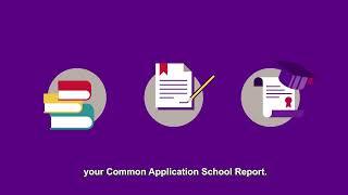 The Common Application for NYU, Explained 2024