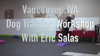 Training your show dog with Eric Salas