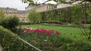 Palais Royal Garden in Paris