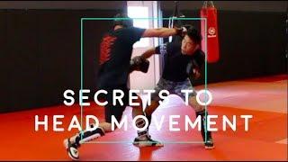 8 Head Movement Tips