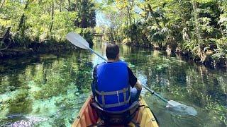 Hiking and kayaking through Silver Springs State Park in Ocala National Forest