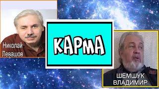 КАРМА.ЧТО ТАКОЕ КАРМА.КАК СНЯТЬ КАРМУ.Николай Левашов, Владимир Шемшук. #познавательное#карма#судьба