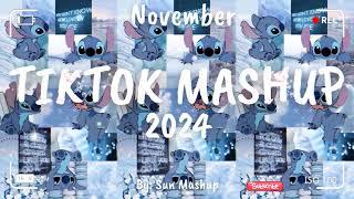 Tiktok Mashup November 2024 (Not Clean)