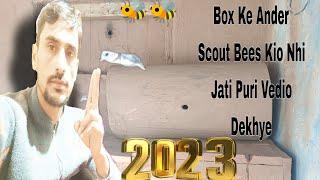 Reason kya  Box Ke Ander Scout Bees Nahi Jati | Puri Vedio Dekhain | Traditional Beekeeping #bees