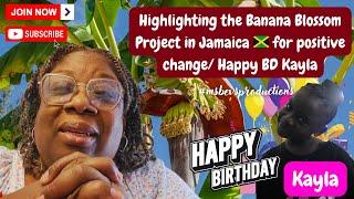 Highlighting the Banana Blossom Project in Jamaica  for positive change/ Happy BD Kayla