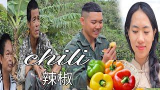 Hồng’s Unique Love Gesture: Two Chili Peppers for Nhu | Sung A Pao