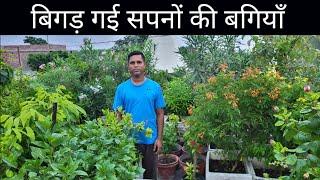 How to manage Garden in Small Terrace || Garden Overview #hamaribagiya