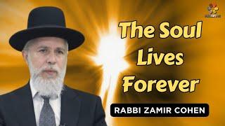 What Happens to a Person After Death? - Rabbi Zamir Cohen in English (AI)