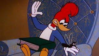 The Mosquito Won't Leave Woody Alone! | 2.5 Hours of Classic Episodes of Woody Woodpecker