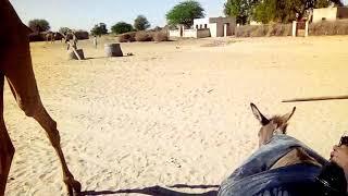 Tharparkar Sindh me pani ka masla  03468119692