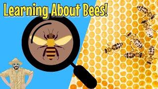 Bees and Beekeeping for Kids