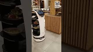 DigPanda Robotics, Service- und Reinigungsroboter.