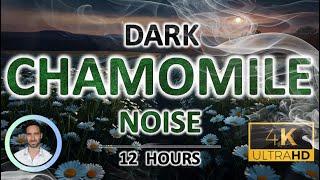 Dark Chamomile Noise for Back to Work Anxiety | Deep Sleep for Restful Minds | Isochronic Tones