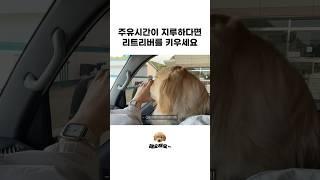 주유시간이 지루하다면 리트리버를 키우세요