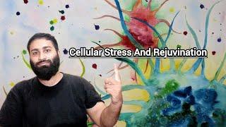 How Cellular Stress To Rejuvinate Your Tired Body?