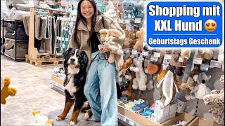 Shopping mit XXL Hund  Happy Birthday 2. Geburtstag! Geschenk einkaufen VLOG | Mamiseelen