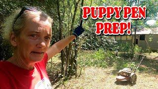 DOG PEN PREP. GOTTA GET THEM A PLAY AREA. farm, tiny house, homesteading, BARN, RV life, RV living|