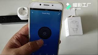 Smart Plug WiFi Socket EU 16A Power Monitor Timing Tuya APP Control Work With Alexa Google Assistant