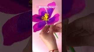 Blooming flower DIY