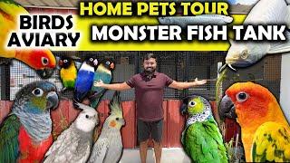 Update!!! Birds Aviary | Monster Fish Tank | Home Pets Tour | Prasanth 360