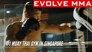 #1 Muay Thai Gym In Singapore | Evolve MMA