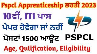 pspcl apprenticeship 2023/pspcl alm new update/pspcl recruitment 2023