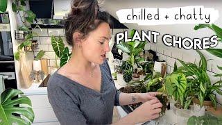 Chilled Chatty Plant Chores  Transferring Plants To Pon + Exciting Updates 