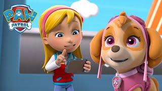 Katie guida la PAW Patrol per fermare dei gatti che abbaiano e tanto! PAW Patrol I cuccioli Italiano