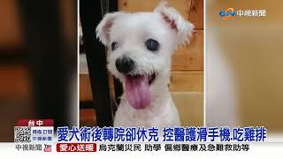 愛犬術後轉院卻休克 控醫護滑手機.吃雞排│中視新聞 20221013