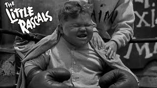 Little Rascals Shorts | "Boxing Gloves" | FULL EPISODE | Slapstick Comedy, Golden Hollywood