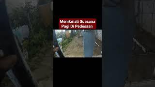 Suasana Rumah Pagi Hari Pedesaan Cianjur Selatan #pedesaan #rumah #cianjurselatan #perjalanan