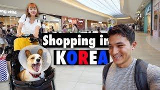 Pet Stores in Korea are AMAZING ｜BUYING A $650 DOG STROLLER [Korea VLOG]