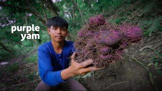 Real UBE(PURPLE YAM) from the forest | Cooked ube halaya and purple sinigang | Gayyem Ben